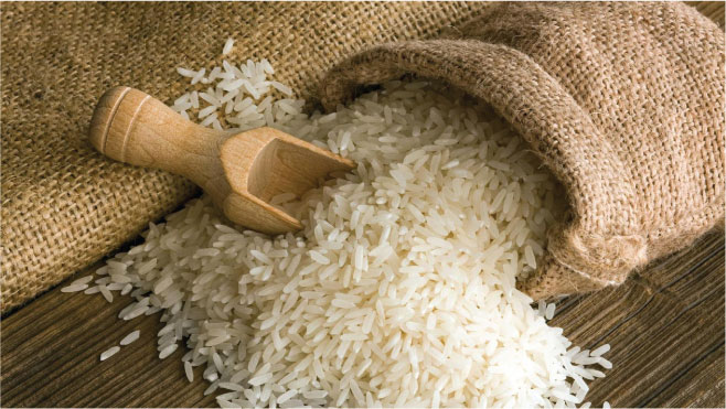 Rice